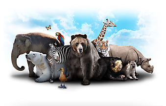 Группа животных. (Код изображения: 10010)
