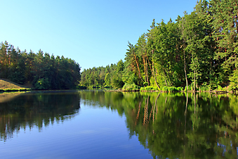 Озеро на фоне леса. (Код изображения: 19012)
