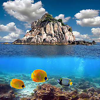 Тропический рай и кораллы. (Код изображения: 21052)