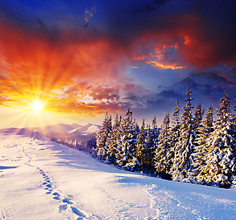 Красивый закат зимой. (Код изображения: 03046)