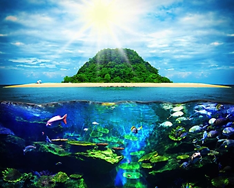 Подводный мир тропического острова (Каталог номер: 07050)