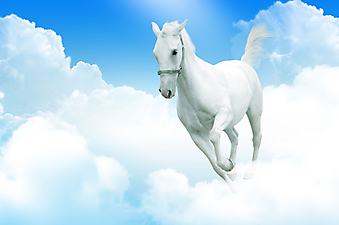 Небесная лошадь. (Код изображения: 11016)