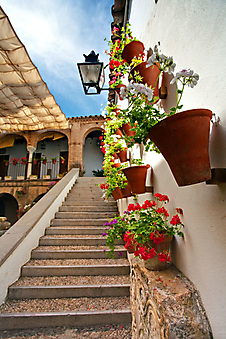 Цветы на стенах. Испания (Каталог номер: 14087)