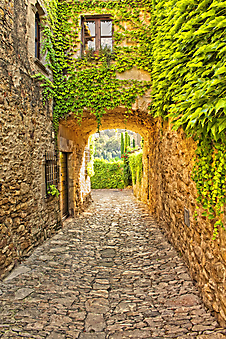 Стена покрытая зеленью. Каталония. Испания (Каталог номер: 14102)