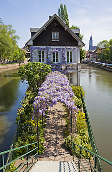 Дом на канале, Страсбург (Каталог номер: 14164)