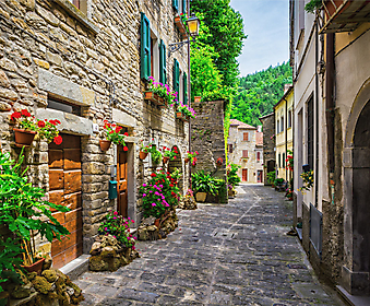 Украшенная цветами итальянская улочка (Каталог номер: 14173)