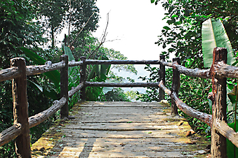 Терраса в джунглях Таиланда (Каталог номер: 15092)