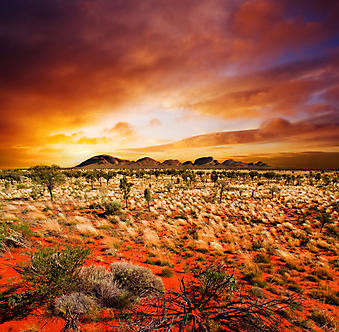 Закат в пустыне. (Код изображения: 04045)