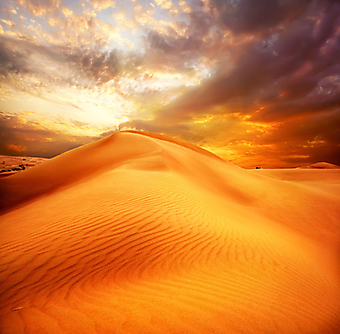 Пустыня. (Код изображения: 04046)