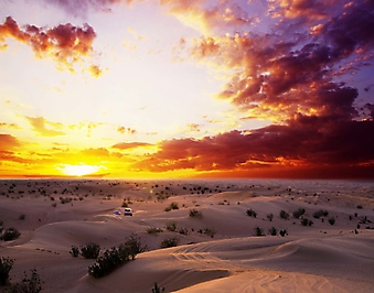 Оранжевый закат над пустыней (Каталог номер: 04092)