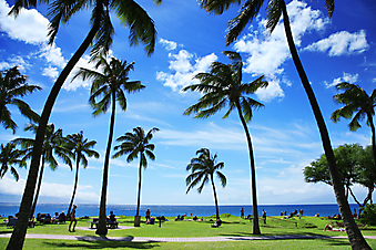 Тропический пляж на Гавайях. (Код изображения: 05025)