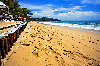 Тропический пляж. (Код изображения: 05031)
