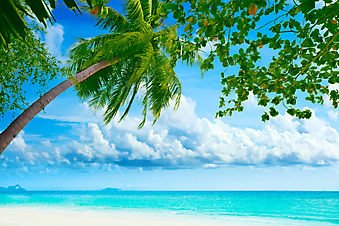 Красивый тропический пляж. (Код изображения: 05042)