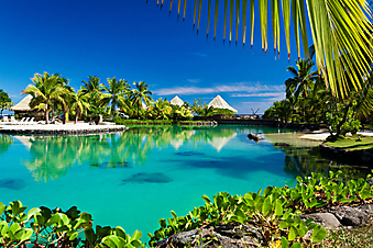 Тропический курорт. (Код изображения: 05045)
