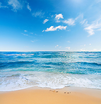 Пляж и море. (Код изображения: 05077)