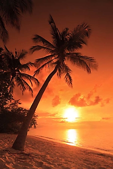 Закат над морем, Мальдивы (Каталог номер: 05131)