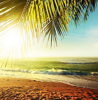 Солнце над тропическим пляжем (Каталог номер: 05138)
