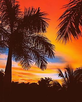 Пальмы на пляже Коста-Рики (Каталог номер: 05158)