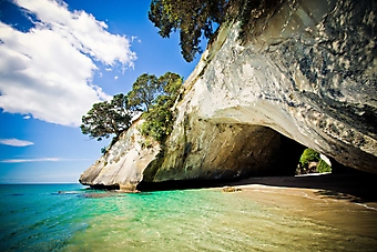 Пещера у моря, Новая Зеландия (Каталог номер: 05161)