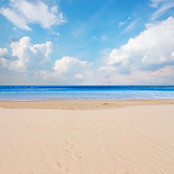 Отлив на солнечном пляже (Каталог номер: 05176)